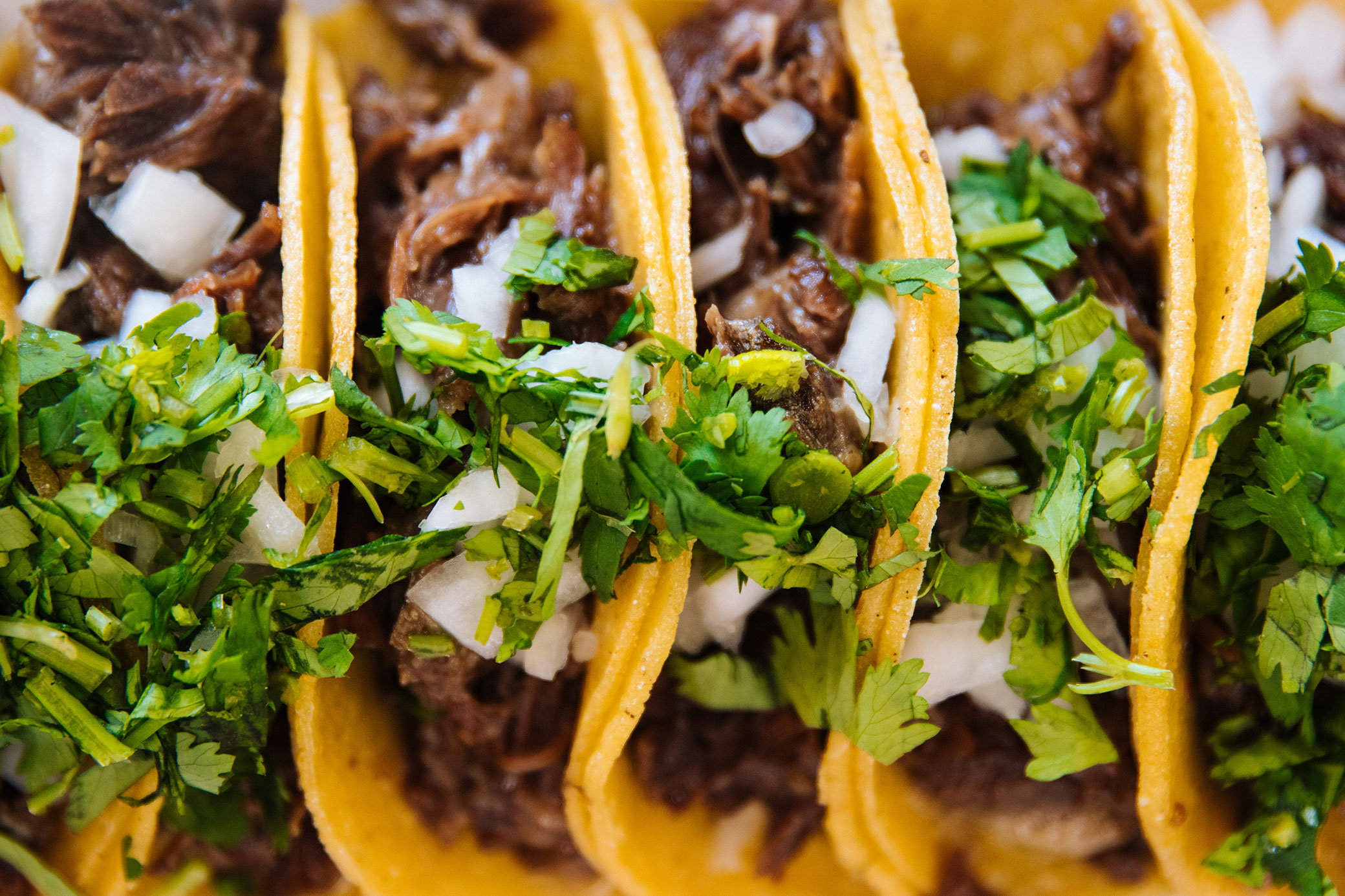 Start your day with delicious birria food